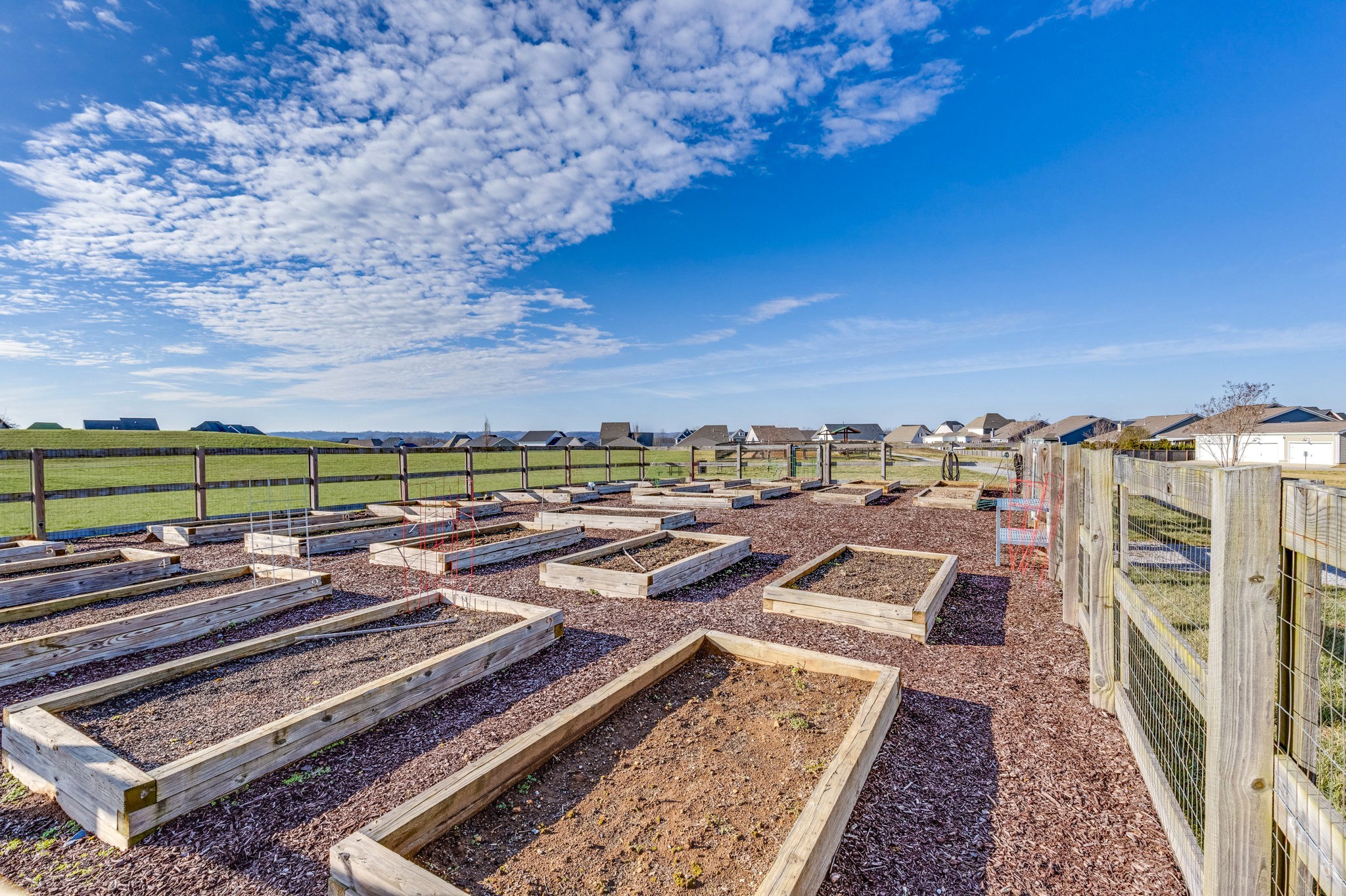 316 Daxton Pl Spring Hill Spring Hill, TN 37174 - Photo 62 of 64