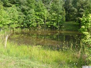 425 Radcliff Road Mount Pleasant, NC 28124 - Photo 14 of 16 Gallery Image 14