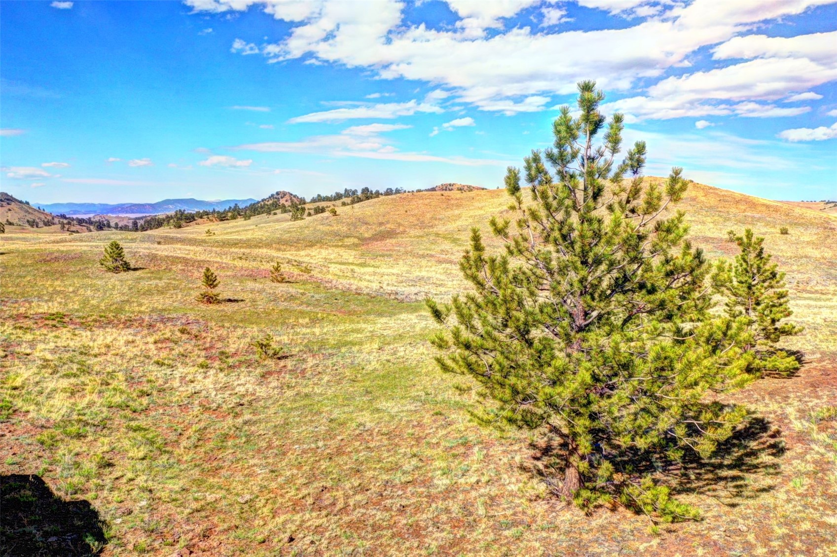 Tbd Black Beaver Road Hartsel, CO 80449 - Photo 1 of 9 Gallery Image 1
