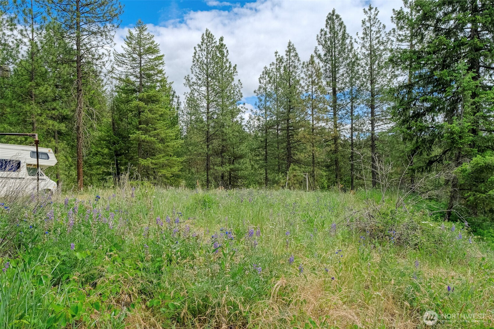 6264 Brisbois Road Fruitland, WA 99129 - Photo 7 of 8