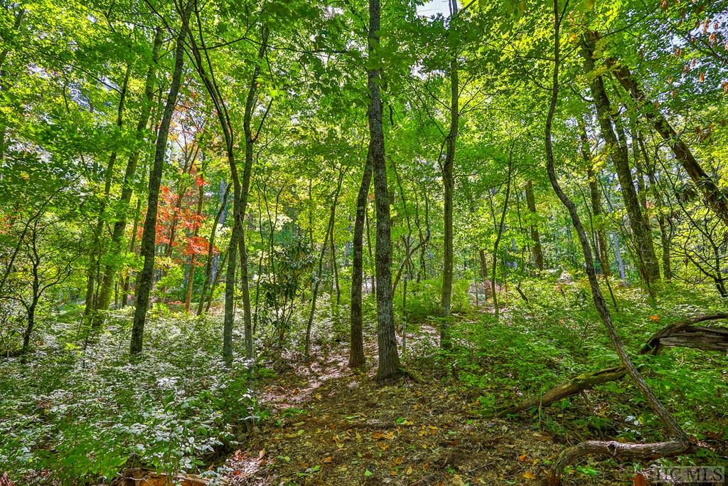 56 Ramble Rdg Road Cashiers, NC 28717 - Photo 4 of 15 Gallery Image 4