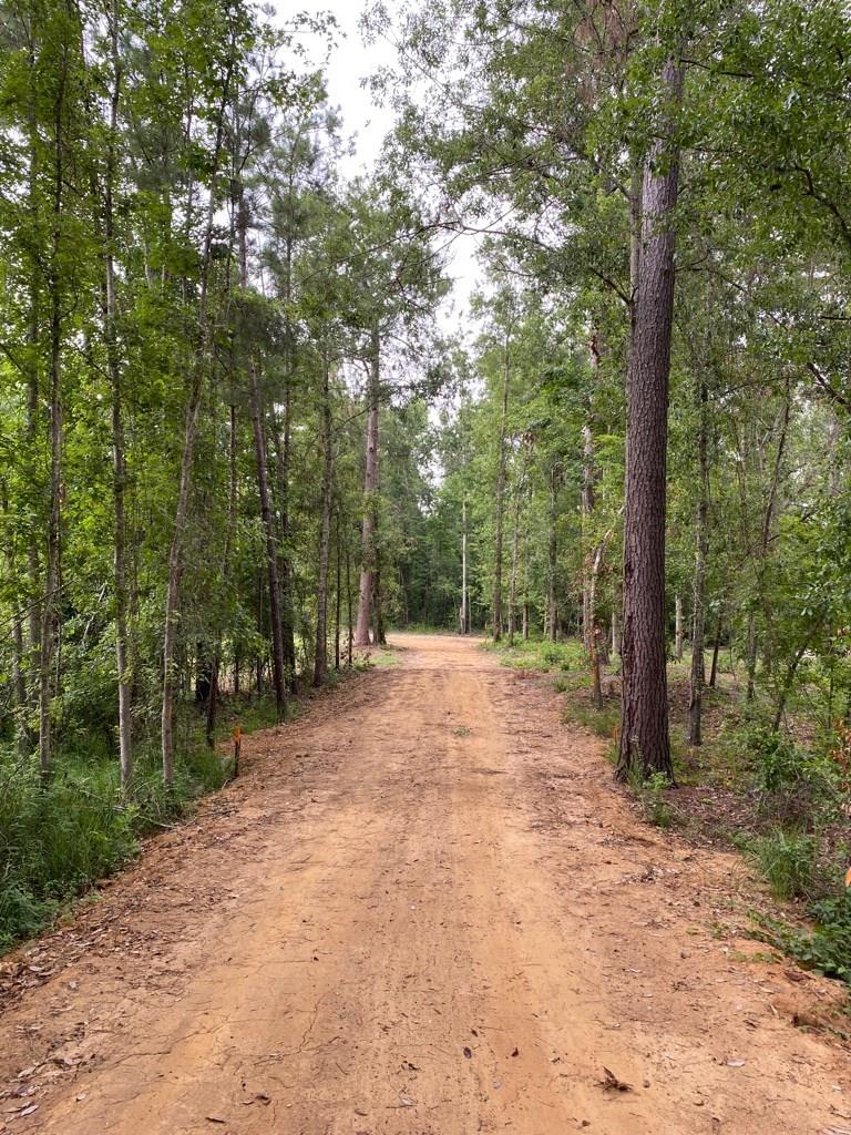 2242 Coot Adams Road Ashford, AL 36312 - Photo 1 of 39