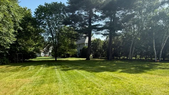 a view of field with trees