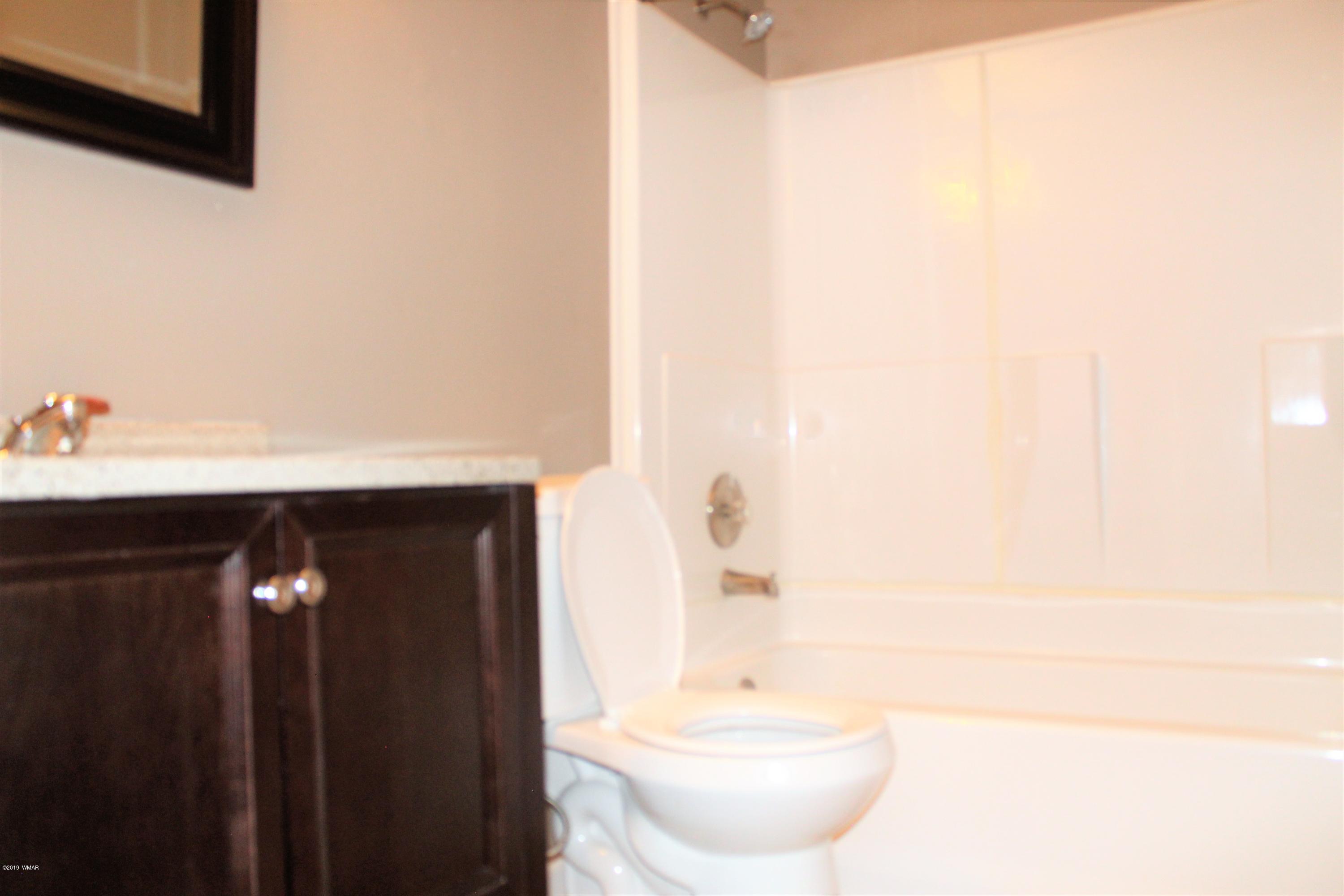 1087 Rim View Drive Show Low, AZ 85901 - Photo 52 of 66 Gallery Image 52