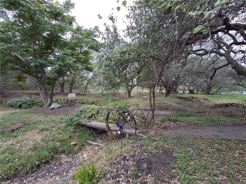 9213 Pvt 6005 Road Sinton, TX 78387 - Photo 2 of 24 seasonal stream with bridge