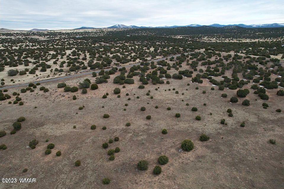 3411 Tbd Co Road Concho, AZ 85924 - Photo 11 of 15