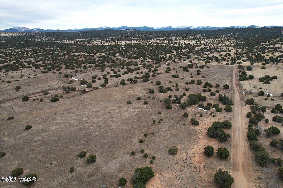 3411 Tbd Co Road Concho, AZ 85924 - Photo 15 of 15