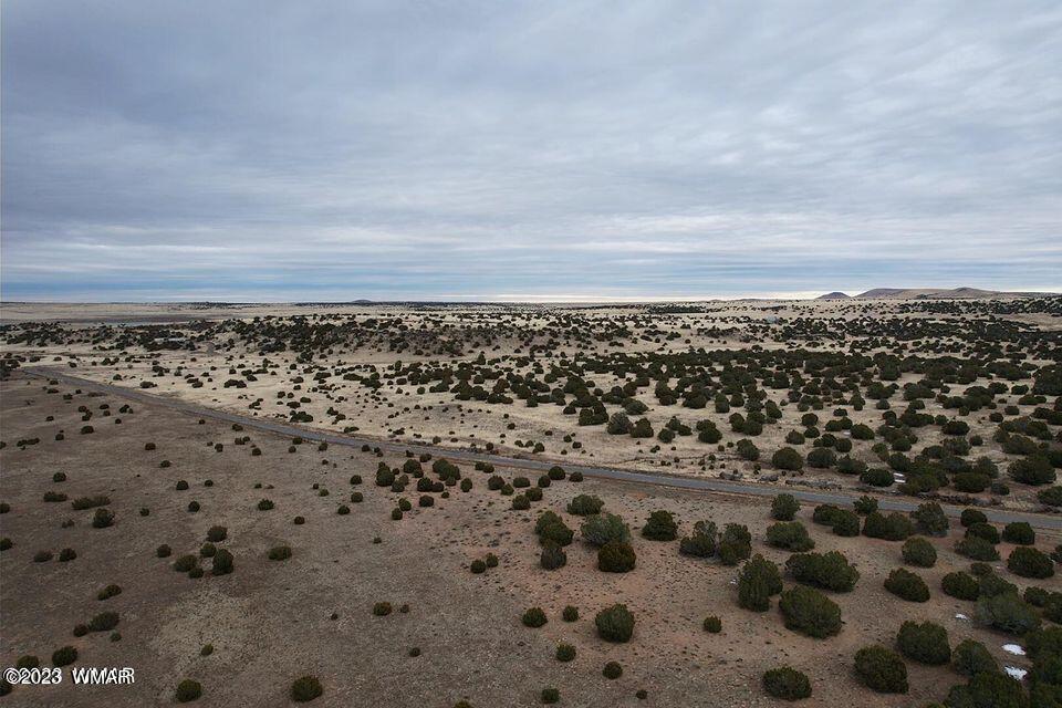 3411 Tbd Co Road Concho, AZ 85924 - Photo 2 of 15
