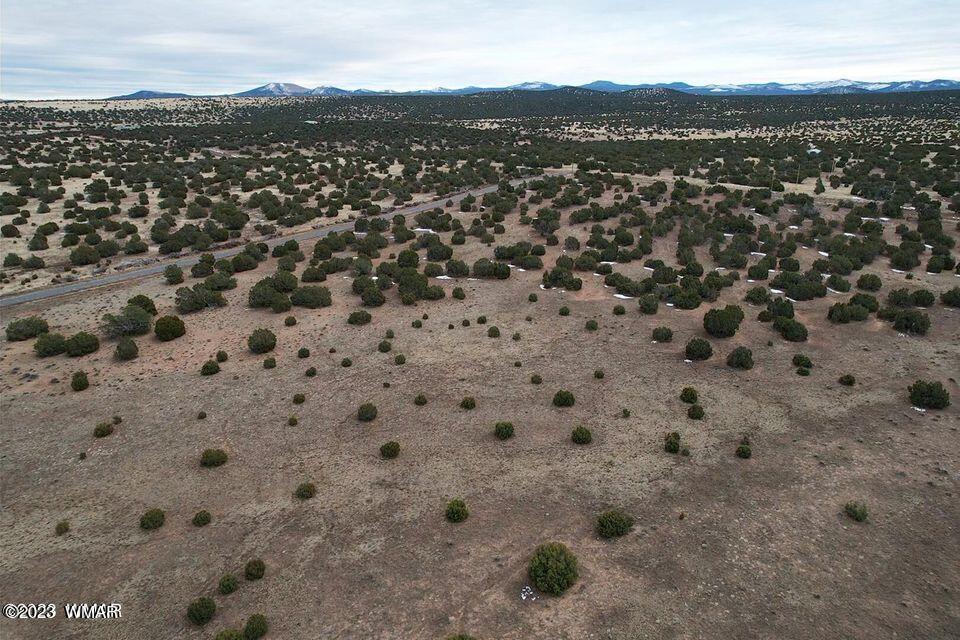 3411 Tbd Co Road Concho, AZ 85924 - Photo 4 of 15
