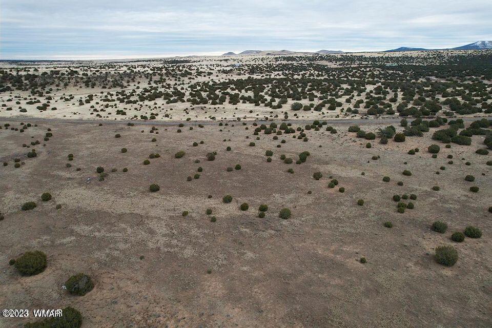 3411 Tbd Co Road Concho, AZ 85924 - Photo 5 of 15