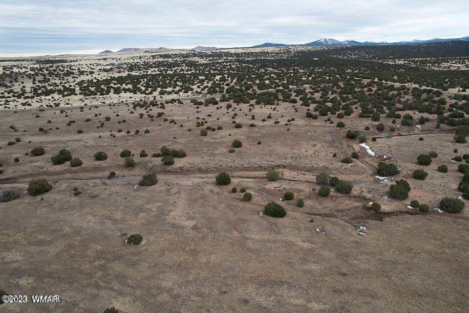 3411 Tbd Co Road Concho, AZ 85924 - Photo 6 of 15