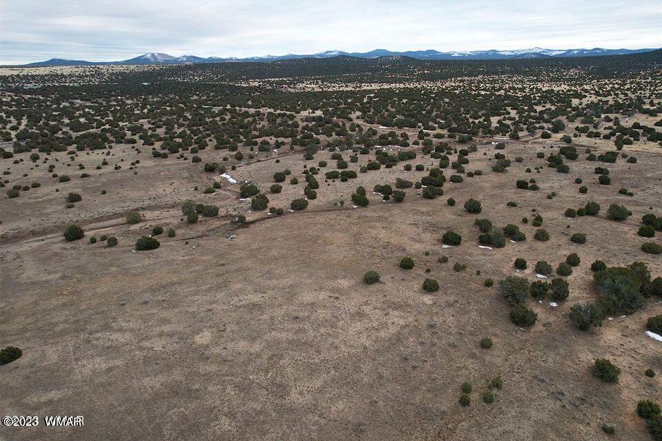 3411 Tbd Co Road Concho, AZ 85924 - Photo 7 of 15