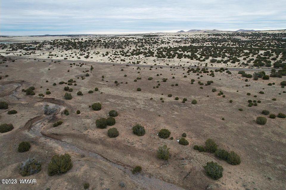 3411 Tbd Co Road Concho, AZ 85924 - Photo 9 of 15
