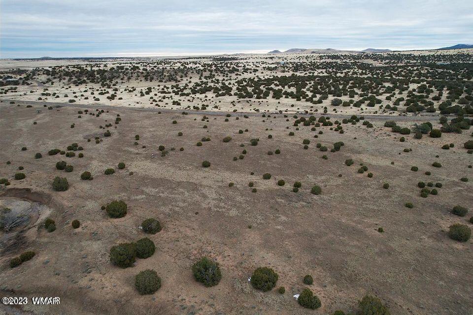 3411 Tbd Co Road Concho, AZ 85924 - Photo 10 of 15