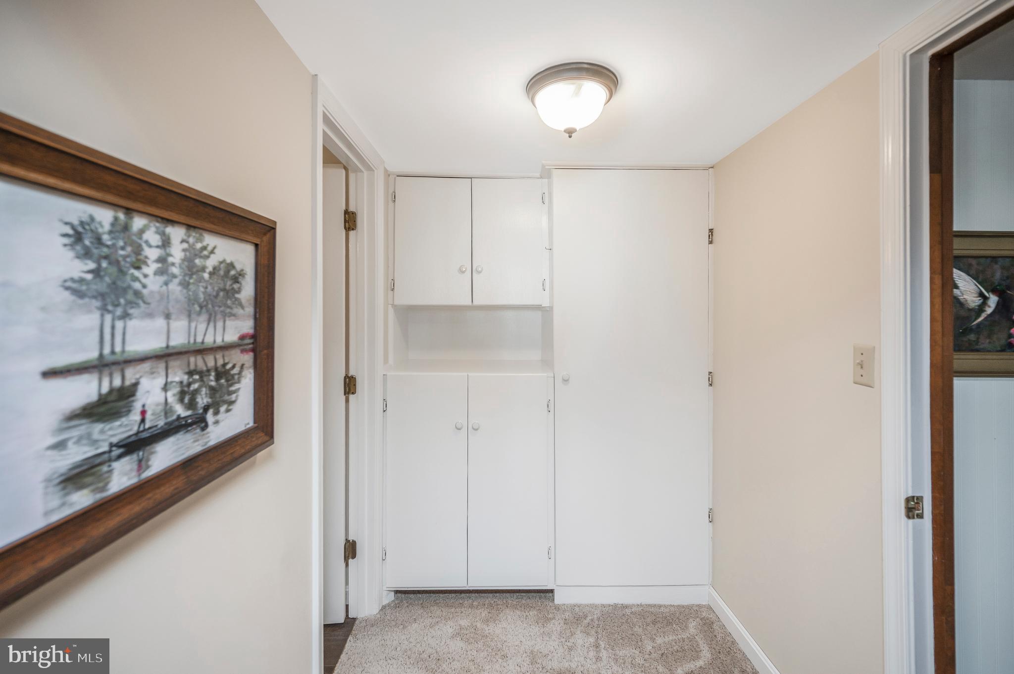 126 Greenspring Road Locust Grove, VA 22508 - Photo 49 of 90 storage foyer