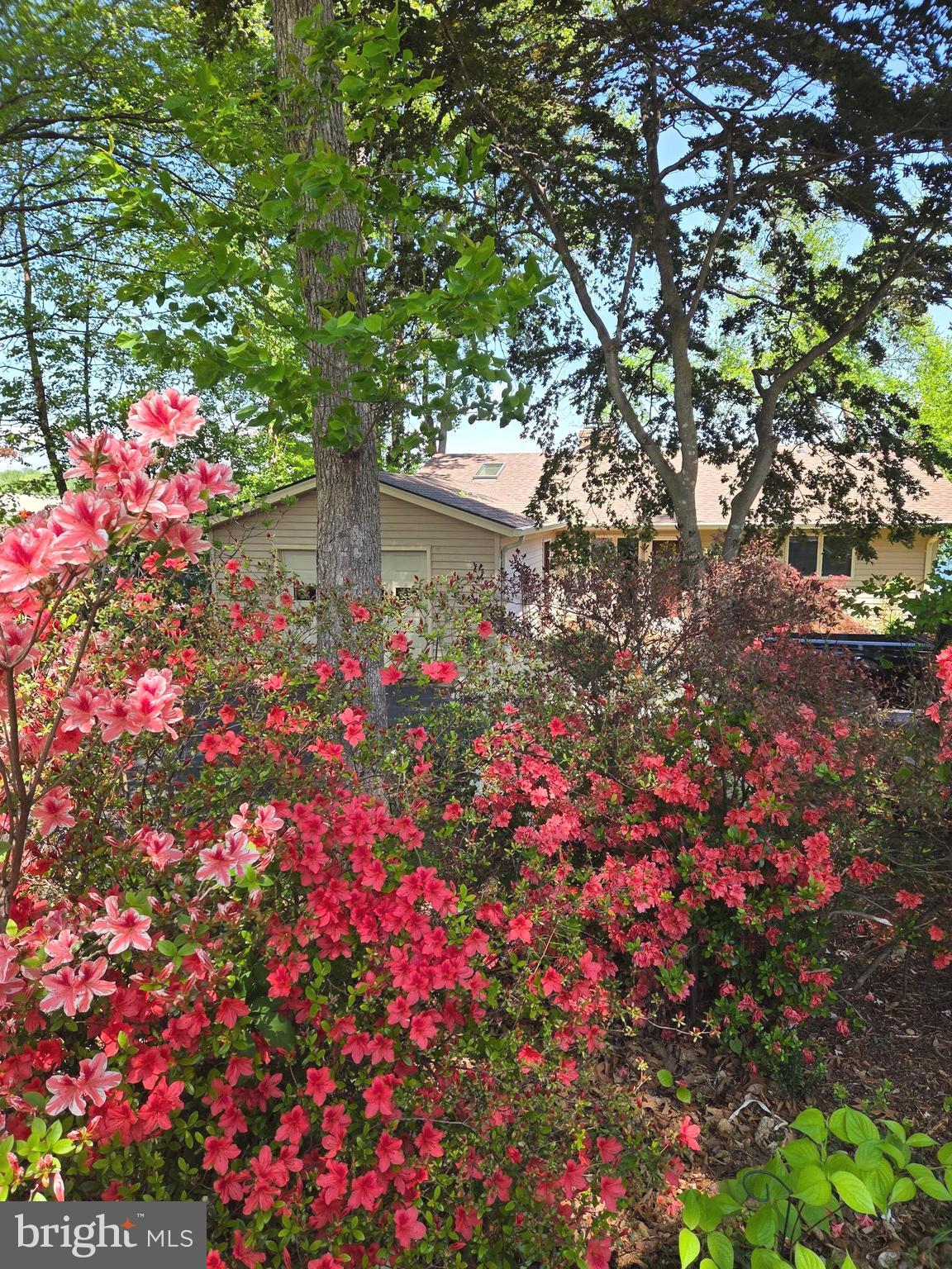 126 Greenspring Road Locust Grove, VA 22508 - Photo 9 of 90 Yard in bloom