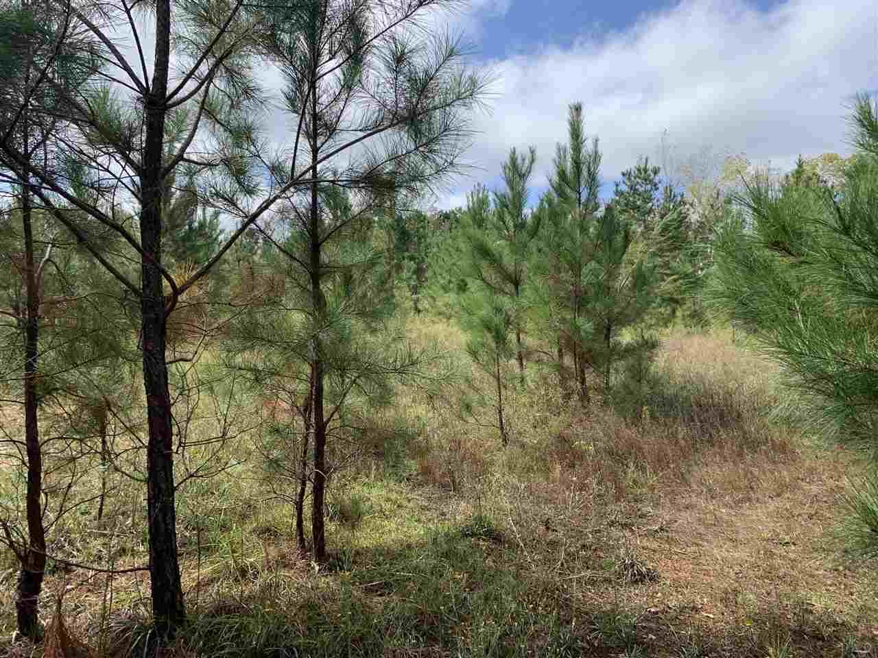 1 Van Hoosen Road Flomaton, AL 36441 - Photo 3 of 5