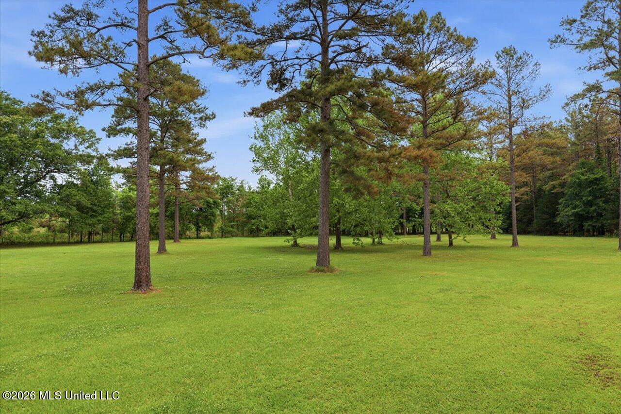 174 Anderson Sta Road Flora, MS 39071 - Photo 60 of 95 064-174 Anderson Sta Rd _ Hometoursms.co