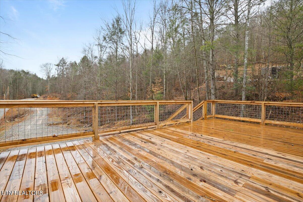 211 Big 4 Road La Follette, TN 37766 - Photo 36 of 44 36-DSC_0964
