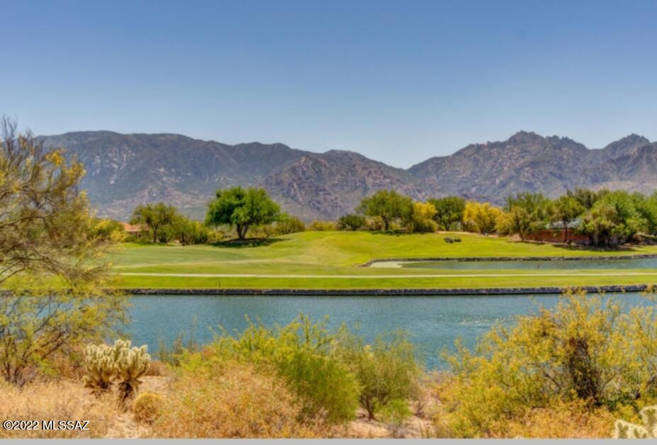 13763 North Buster Spring Way Oro Valley, AZ 85755 - Photo 31 of 50