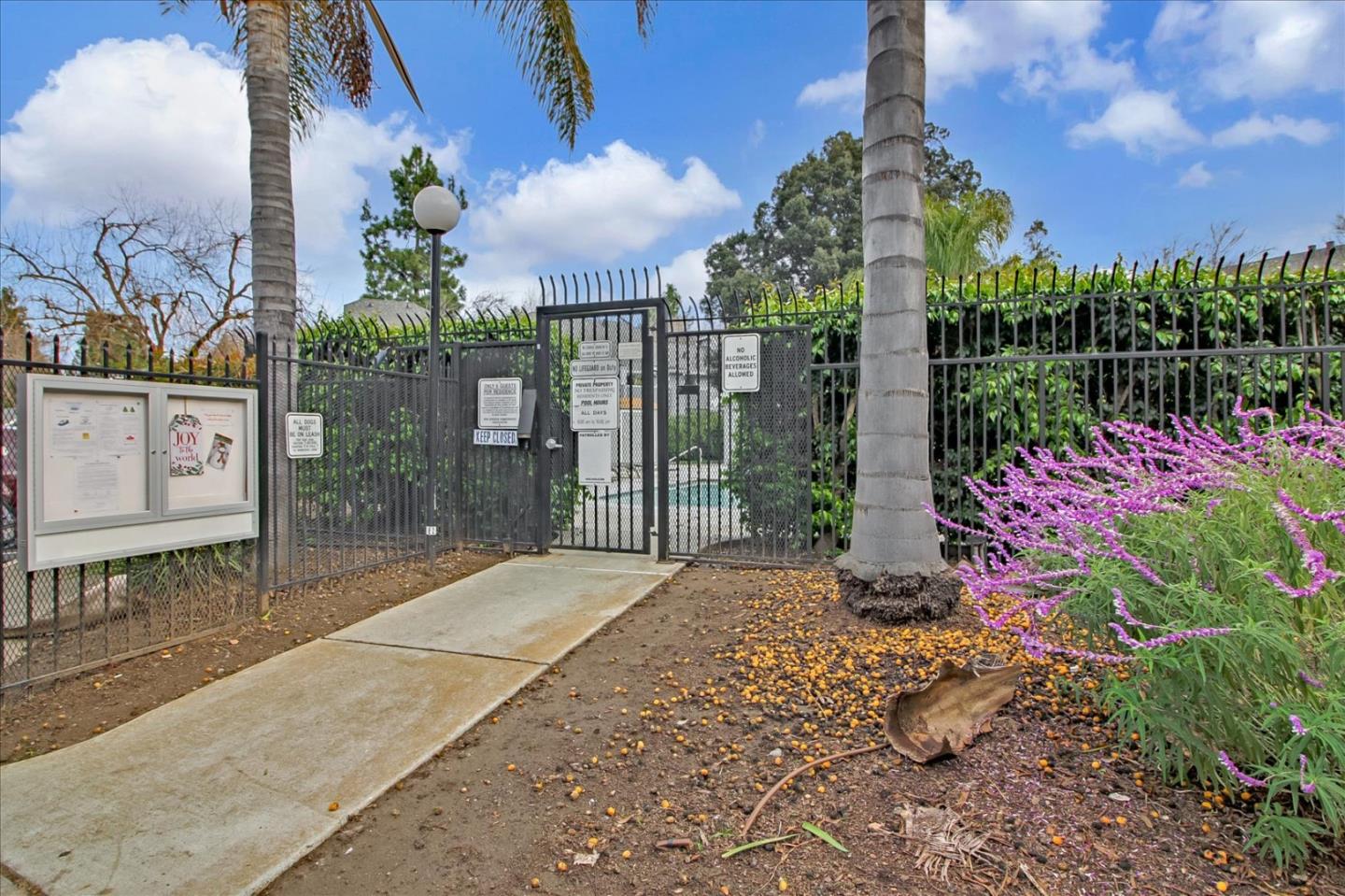 275 Shadow Dance Drive San Jose, CA 95110 - Photo 29 of 31 a view of a potted plants next to a building