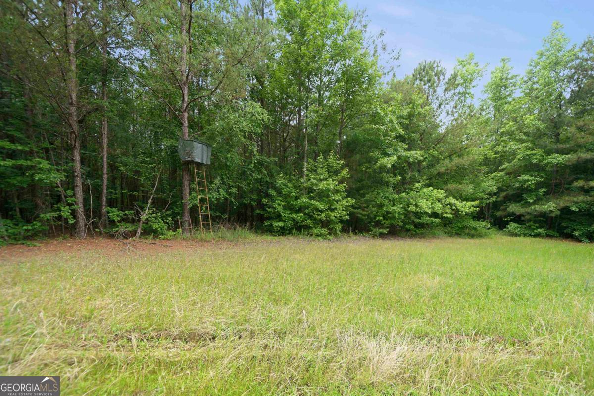 0 Pear Orchard Road Greensboro, GA 30642 - Photo 12 of 34