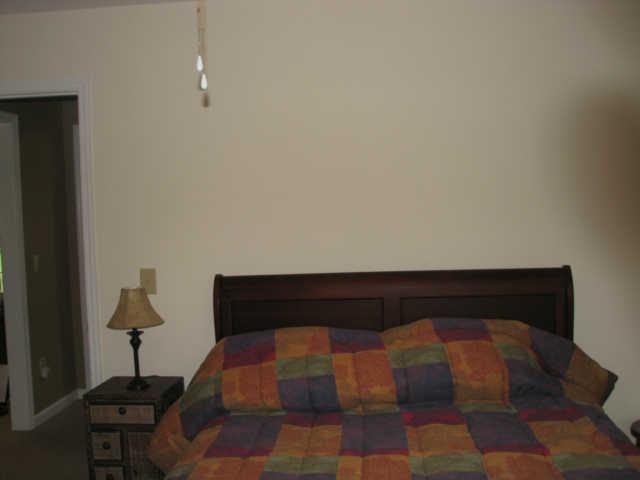 31 Harding Road Leoma, TN 38468 - Photo 6 of 7