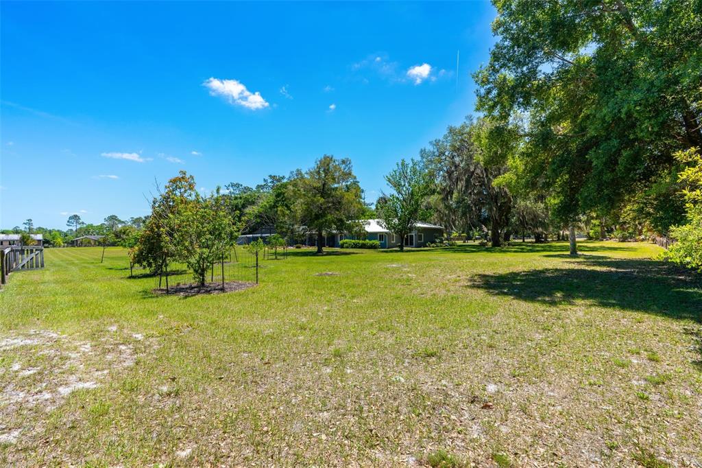 650 Old Mims Road Geneva, FL 32732 - Photo 64 of 90