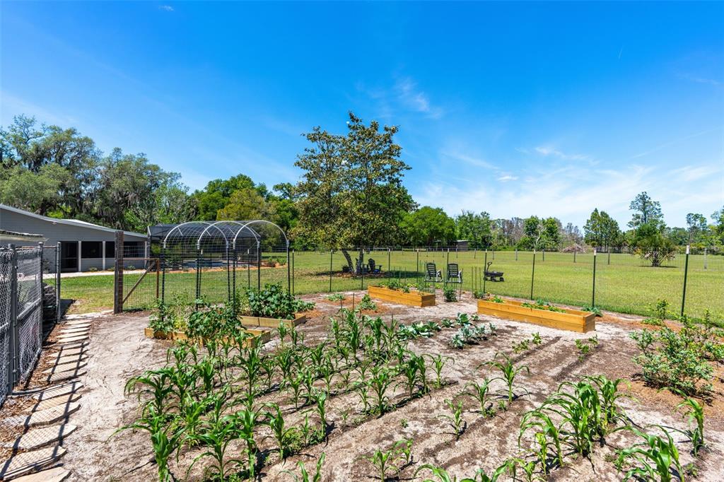 650 Old Mims Road Geneva, FL 32732 - Photo 69 of 90