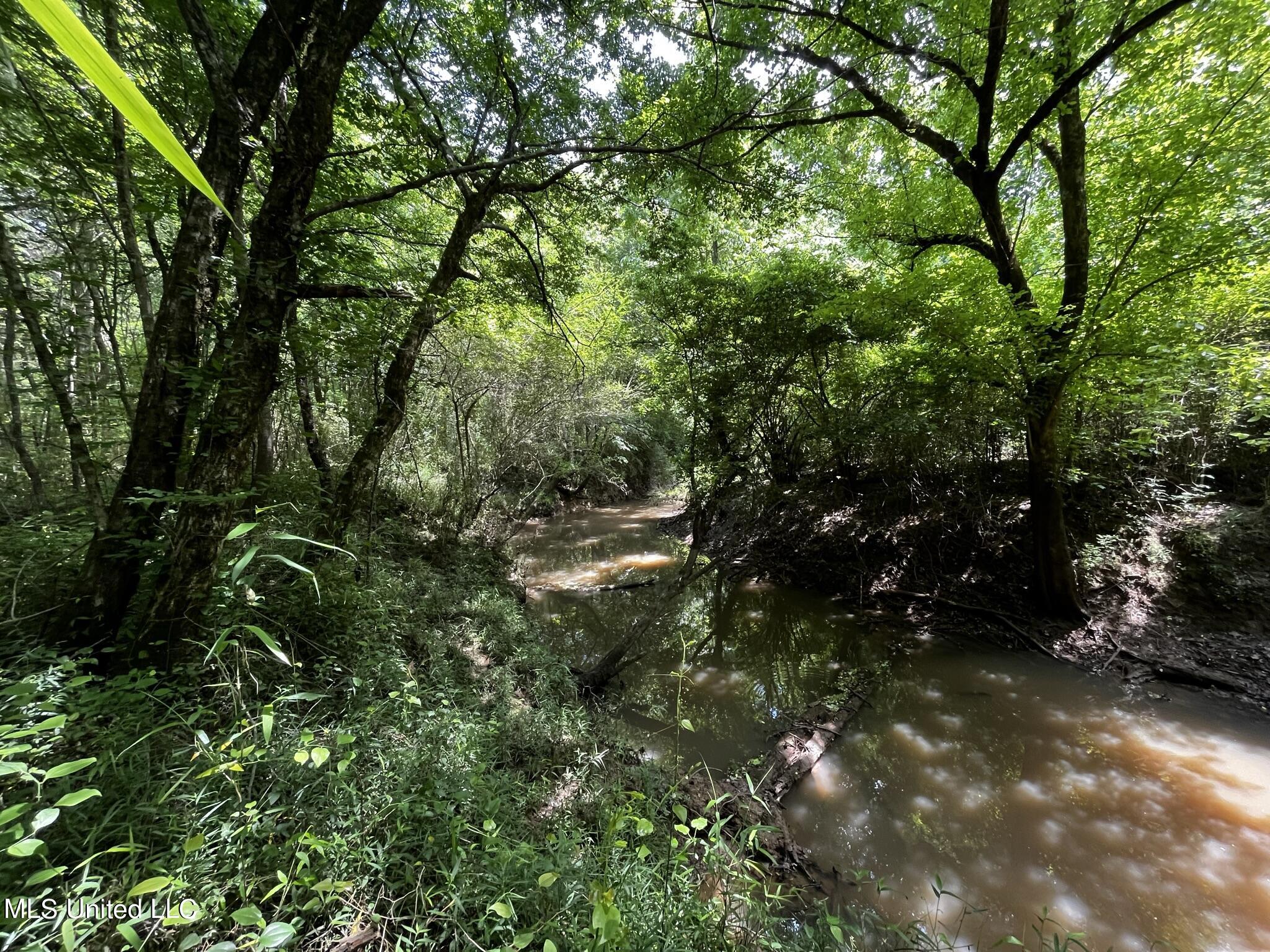 Fannegusha Creek