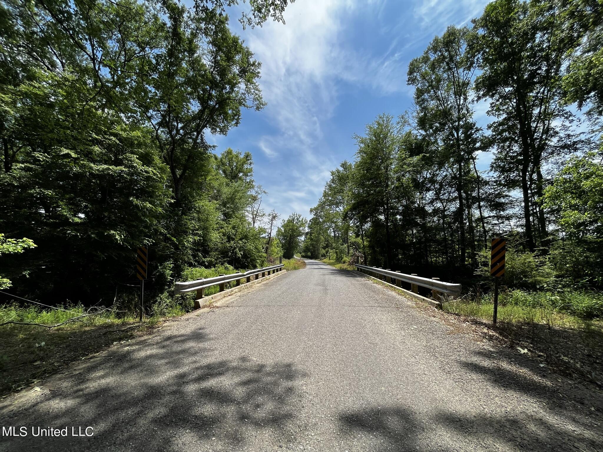 Fleming Road Pelahatchie, MS 39145 - Photo 3 of 18 IMG_2311