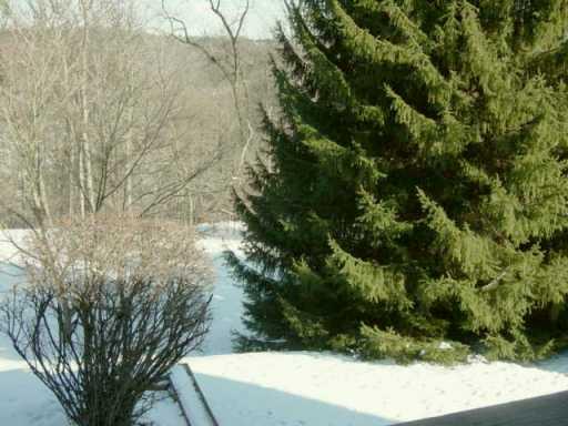 804 Blue Ridge Road Plum, PA 15239 - Photo 3 of 5 Gallery Image 3