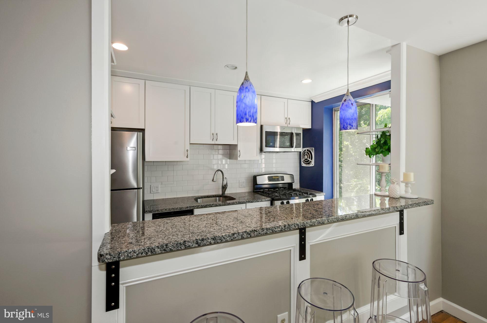 4100 W Street Northwest, Unit 302 Washington, DC 20007 - Photo 11 of 34 Kitchen Renovated 2016