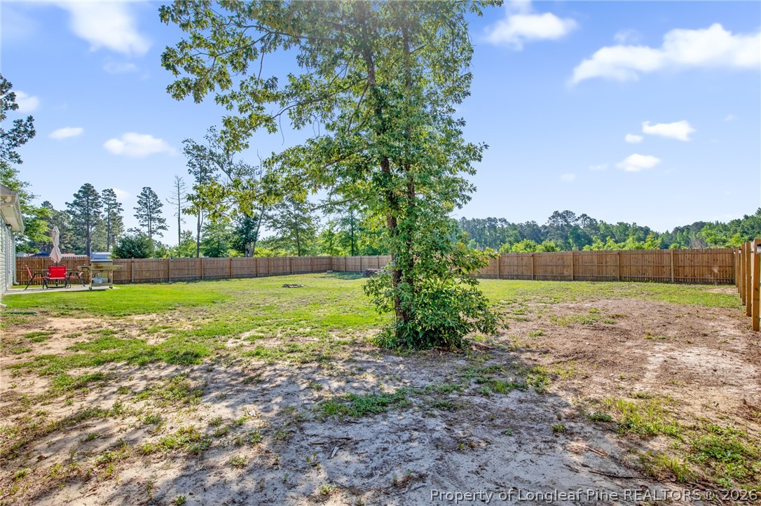 351 Sandy Grove Road Parkton, NC 28371 - Photo 3 of 30 a view of outdoor space with deck and yard