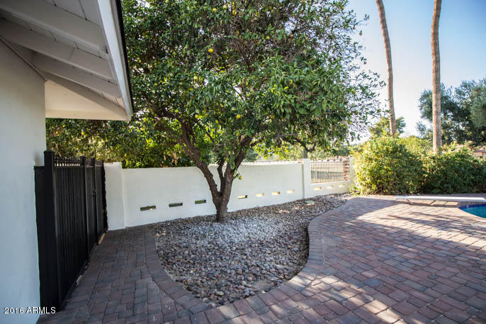 42 West Boca Raton Road Phoenix, AZ 85023 - Photo 29 of 33 Back yard (1 of 1)