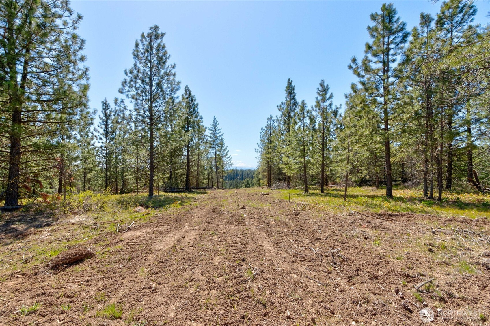 10 Piper Lane Goldendale, WA 98620 - Photo 13 of 19 a view of dirt yard with trees