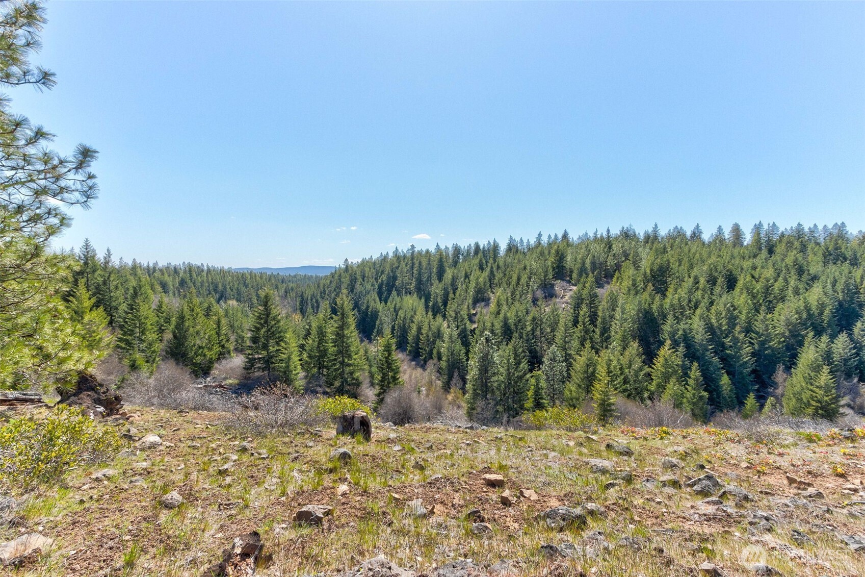10 Piper Lane Goldendale, WA 98620 - Photo 18 of 19 a view of a yard with a tree