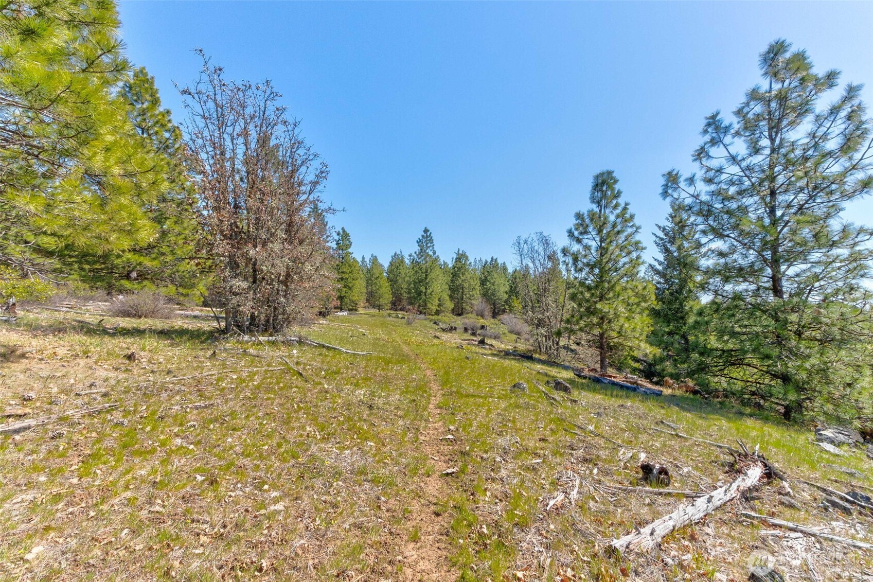 10 Piper Lane Goldendale, WA 98620 - Photo 19 of 19 a view of a yard with an trees