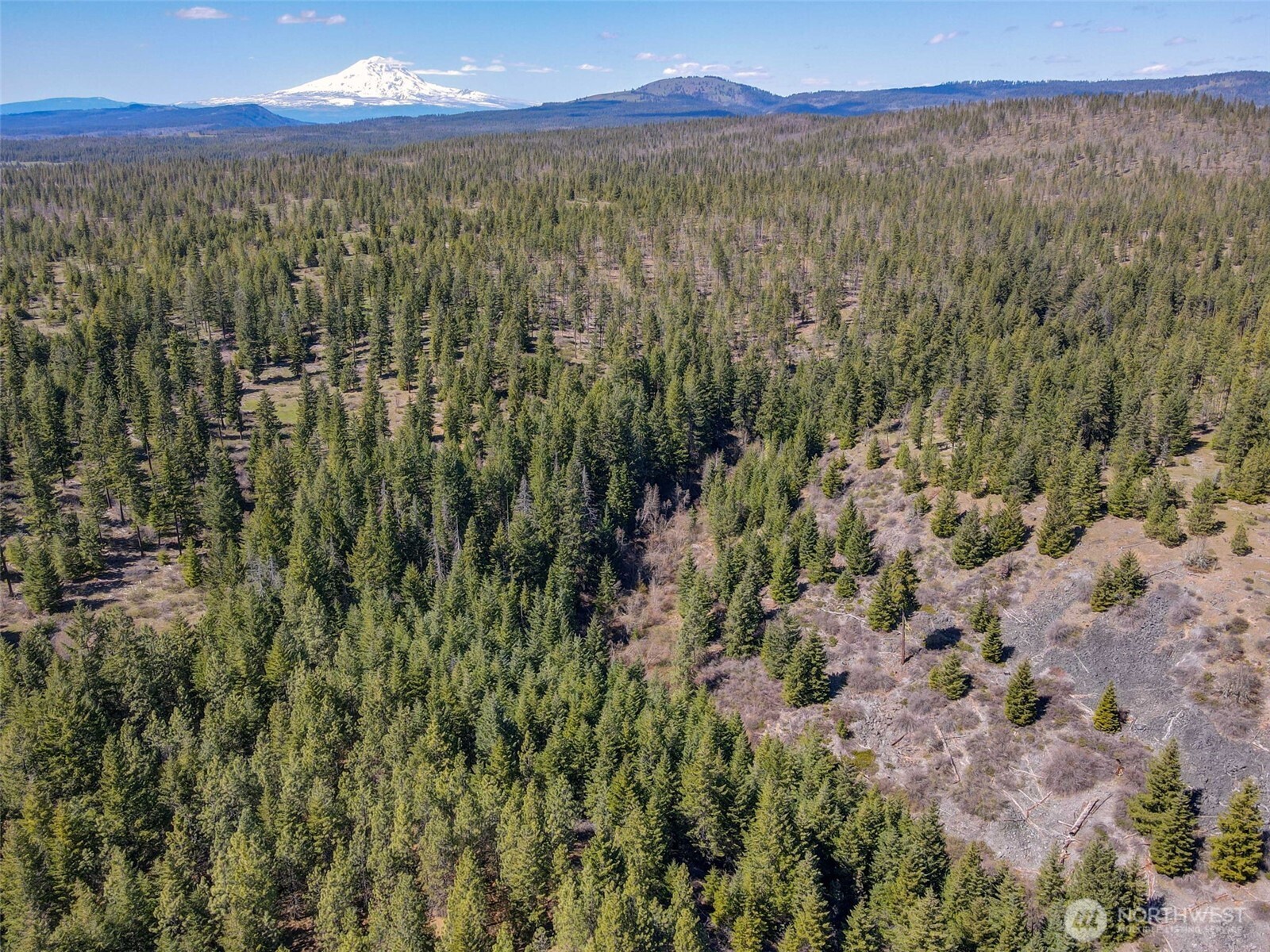 10 Piper Lane Goldendale, WA 98620 - Photo 7 of 19 a view of a city with lush green forest