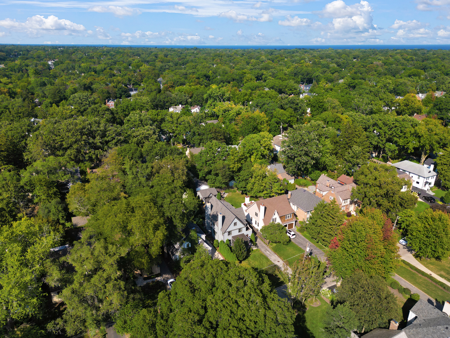 1503 Edgewood Lane Winnetka, IL 60093 - Photo 41 of 46 an aerial view of residential houses with outdoor space and trees