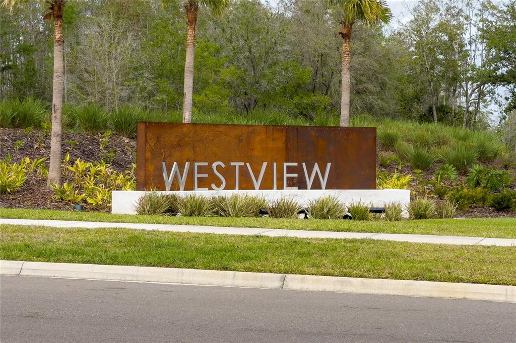 2060 Viewfinder Street Kissimmee, FL 34758 - Photo 23 of 23 a view of garden