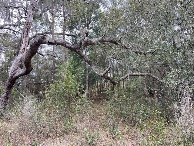 $55,000 | 0 Purdue Street, New Port Richey, FL 34654