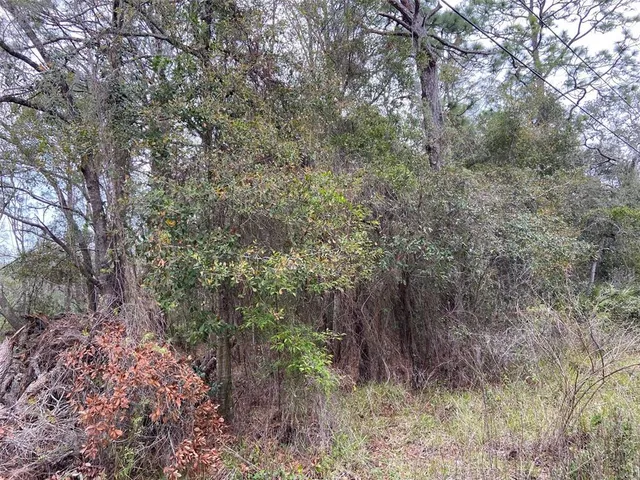 $55,000 | 0 Purdue Street, New Port Richey, FL 34654