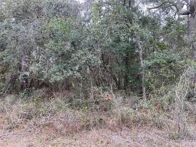 $55,000 | 0 Purdue Street, New Port Richey, FL 34654