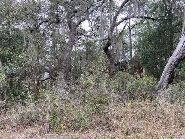 $55,000 | 0 Purdue Street, New Port Richey, FL 34654