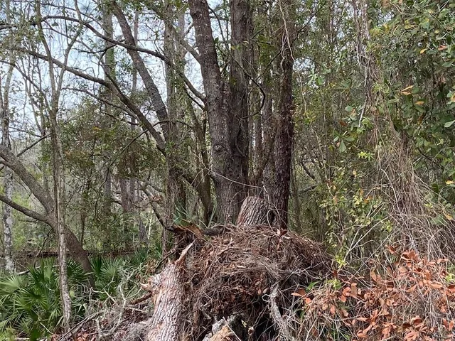 $55,000 | 0 Purdue Street, New Port Richey, FL 34654