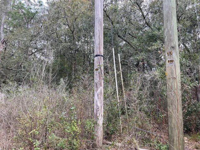 $55,000 | 0 Purdue Street, New Port Richey, FL 34654