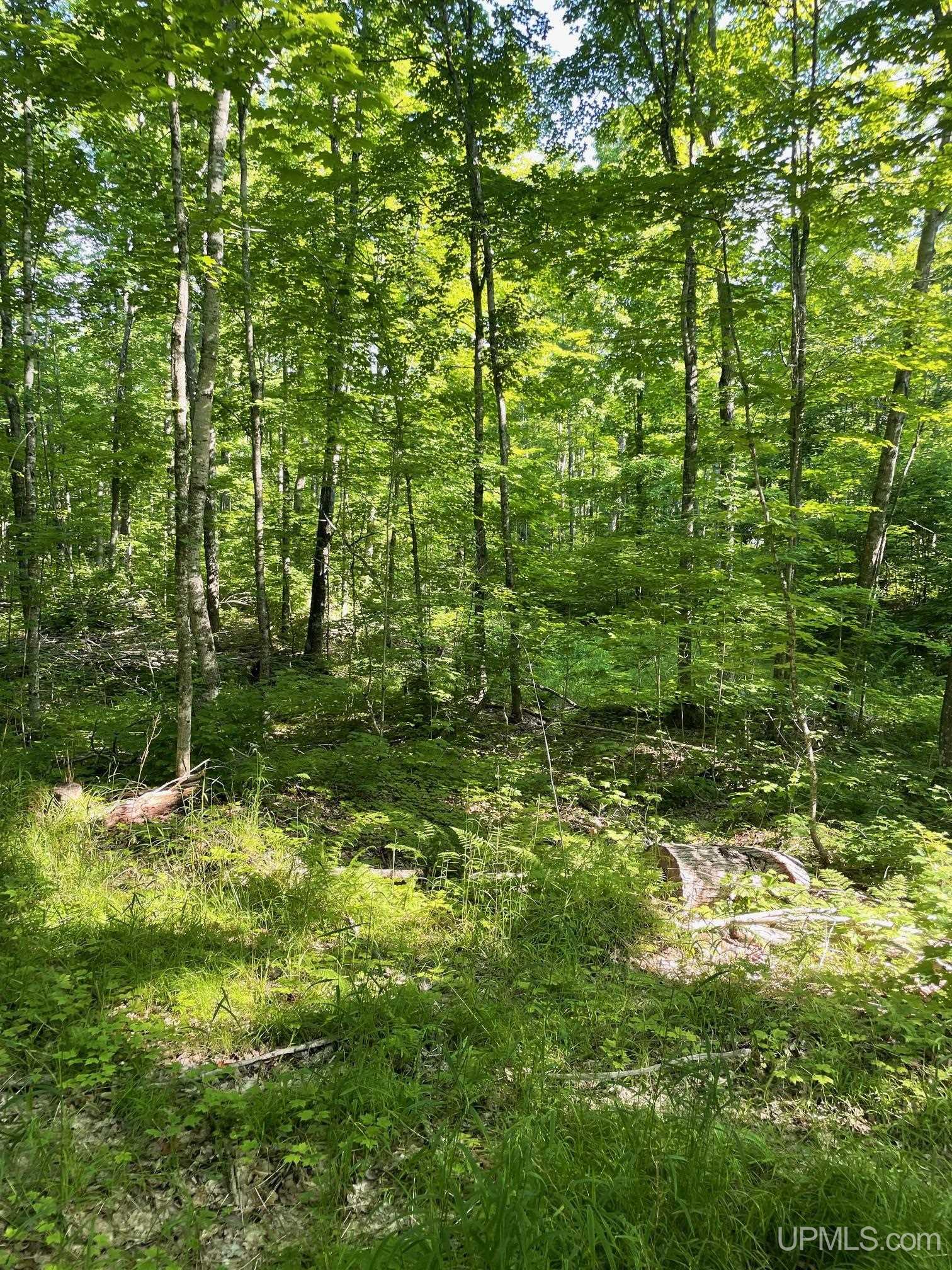 Tbd A Off Gay Road Lake Linden, MI 49945 - Photo 13 of 15