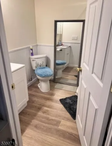 a bathroom with a sink and a toilet