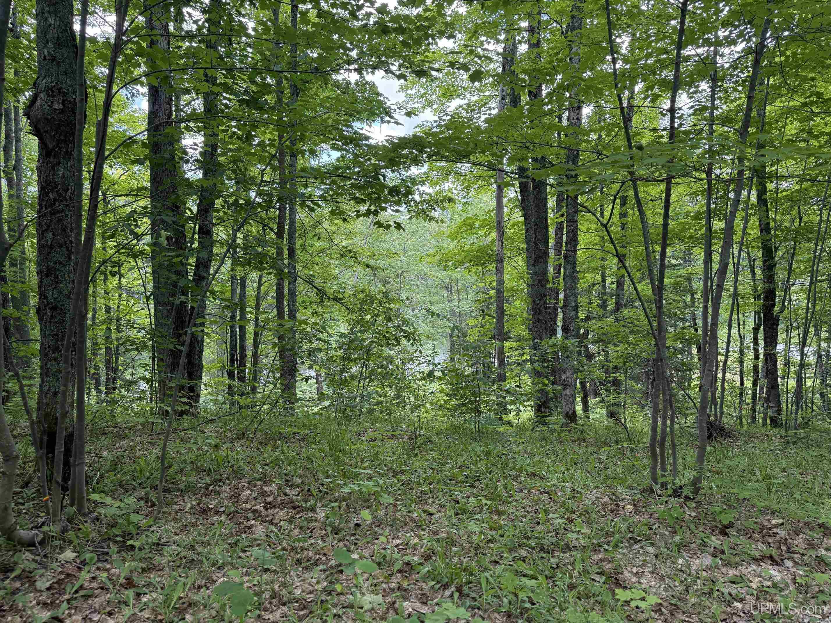 Tbda Winona Road Toivola, MI 49965 - Photo 12 of 18
